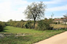 Odličan kompleks građevinskog i poljoprivrednog zemljišta, BARBAN, Barban, Γη