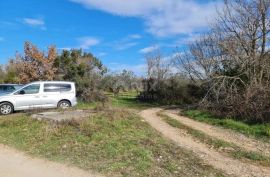 ISTRA, FAŽANA - Predivan maslinik s istarskim kažunom 3.170 m2, Fažana, Γη