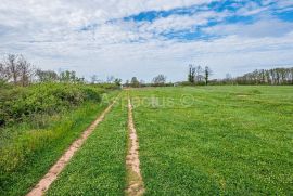 Građevinsko zemljište + poljoprivredno, Loborika, Istra, Marčana, Земля