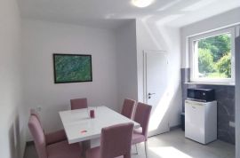 ISTRA,LABIN,STAN 51 M2 SA GARAŽOM U CENTRU GRADA, Labin, Apartamento