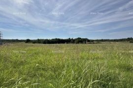 Građevinsko zemljište Prodaje se građevinsko zemljište, 5832m2, Barban, Barban, Land