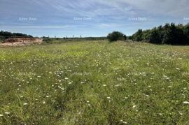 Građevinsko zemljište Prodaje se građevinsko zemljište, 5832m2, Barban, Barban, Land