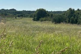 Građevinsko zemljište Prodaje se građevinsko zemljište, 5832m2, Barban, Barban, Land