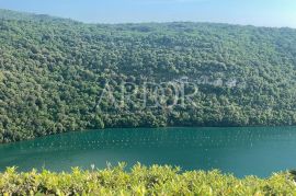 Sveti Lovreč, poljoprivredno zemljište 30.902m2, Sveti Lovreč, Terrain