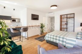 Rijeka, Centar, 162m2, 5 studio apartmana, Rijeka, شقة