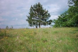 Centralna Istra, veliko imanje sa izvorom vode, Lupoglav, Γη