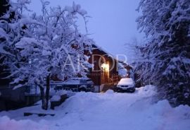 GORSKI KOTAR, DRVENA LJEPOTICA ZA HEDONIZAM, Delnice, Haus