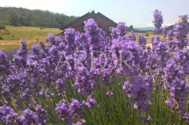 MRKOPALJ, KUĆA ZA ČISTI HEDONIZAM!!, Mrkopalj, Maison