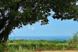 MODERNA VILLA S POGLEDOM NA MORE, Kaštelir-Labinci, بيت