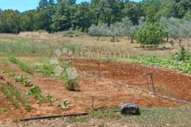 Kuća na imanju površine 14000m2, Ližnjan, Famiglia