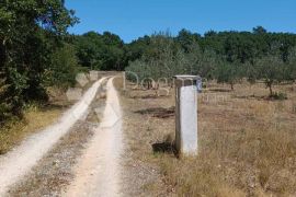 Kuća na imanju površine 14000m2, Ližnjan, Casa