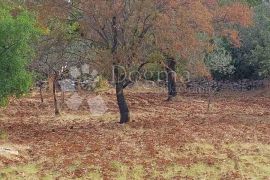 Građevinsko zemljište na top lokaciji s pogledom na more, Vodnjan, Land