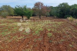 Građevinsko zemljište na top lokaciji s pogledom na more, Vodnjan, Land