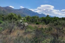 GRAĐEVINSKO ZEMLJIŠTE - KONAVLE, Konavle, Terreno