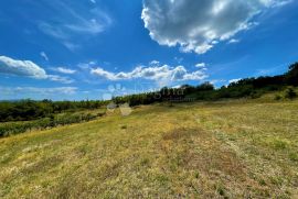 KOMPLEKS GRAĐEVINSKOG I POLJOPRIVREDNOG ZEMLJIŠTA, Pićan, Terreno