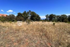 Istra, Peruški - 1000 m2 parcele, POGLED NA MORE, Marčana, Land