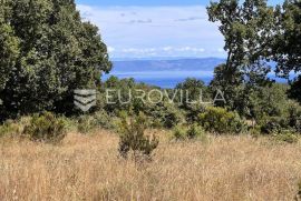 Istra, Peruški - 1000 m2 parcele, POGLED NA MORE, Marčana, Land