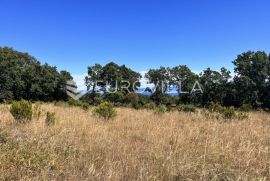 Istra, Peruški - 1000 m2 parcele, POGLED NA MORE, Marčana, Land