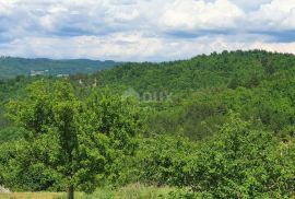 ISTRA, PAZIN - Građevinsko zemljište 1576 m2 s pogledom na jezero i prirodu, Pazin - Okolica, Terra