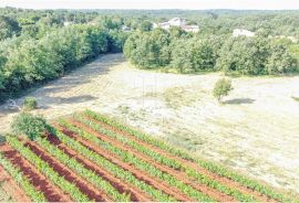 Istra, Krnica, okolica, zemljište s potencijalom, Marčana, Land