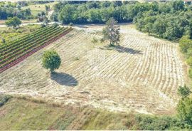 Istra, Krnica, okolica, zemljište s potencijalom, Marčana, Land