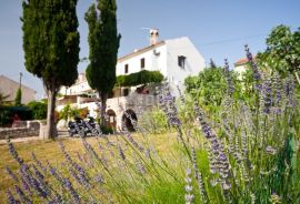 OTOK KRK, PUNAT - Kamena kuća s velikom okućnicom, Punat, Ev