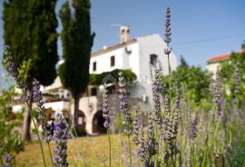 OTOK KRK, PUNAT - Kamena kuća s velikom okućnicom, Punat, Maison