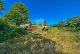 Motovun okolica, zemljište na mirnoj lokaciji, Motovun, Terreno