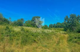 Motovun okolica, zemljište na mirnoj lokaciji, Motovun, Terreno