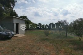 Rovinj, poljoprivredno zemljište veličine 4798 m2 sa upisanim objektima, Rovinj, Γη