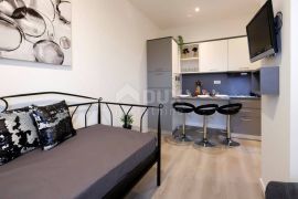 RIJEKA, CENTAR - uhodani apartmani u centru grada, Rijeka, Stan