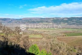 Istra, Motovun, obiteljska kuća s velikim potencijalom, Motovun, Σπίτι