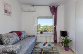 ISTRA, PULA - Apartmanska kuća na mirnoj izoliranoj lokaciji, Pula, Σπίτι