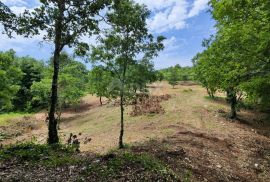 ISTRA, BARBAN Građevinska zemljišta na odličnoj lokaciji!, Barban, Terra