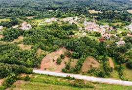 ISTRA, BARBAN Prostrano građevinsko zemljište!, Barban, Land