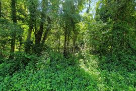 ISTRA, BUZET - Zemljište uz rijeku Mirnu, Buzet, Land