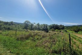 ISTRA, SOVINJAK - Poljoprivredno zemljište pogodno za vinogradarstvo, Buzet, Terra