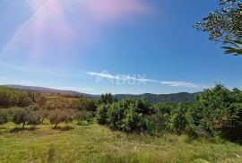 ISTRA, SOVINJAK - Poljoprivredno zemljište pogodno za maslinarstvo, Buzet, Terra