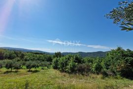 ISTRA, SOVINJAK - Poljoprivredno zemljište pogodno za maslinarstvo, Buzet, Terra