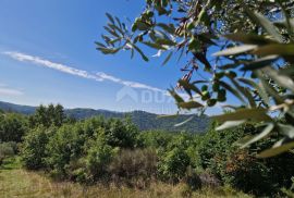 ISTRA, SOVINJAK - Poljoprivredno zemljište pogodno za maslinarstvo, Buzet, Terra