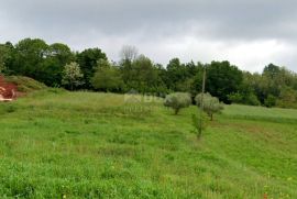 ISTRA, BARBAN - Zemljište s građevinskom dozvolom, Barban, Land