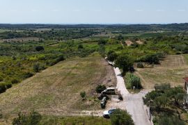 Građevinsko zemljište Prodaja građevinskih parcela sa pogledom na more, za izgradnju stambenih objekata, Buje!, Buje, Land