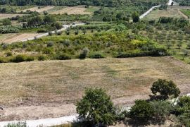 Građevinsko zemljište Prodaja građevinskih parcela sa pogledom na more, za izgradnju stambenih objekata, Buje!, Buje, Land