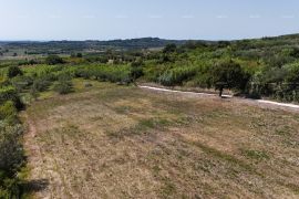 Građevinsko zemljište Prodaja građevinskih parcela sa pogledom na more, za izgradnju stambenih objekata, Buje!, Buje, Land