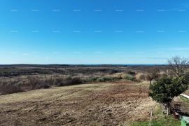 Građevinsko zemljište Prodaja građevinskih parcela sa pogledom na more, za izgradnju stambenih objekata, Buje!, Buje, Land