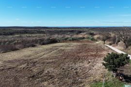 Građevinsko zemljište Prodaja građevinskih parcela sa pogledom na more, za izgradnju stambenih objekata, Buje!, Buje, Land