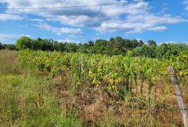 ISTRA, BARBAN - Zemljište s projektom zadnje u građevinskoj zoni, Barban, Terreno