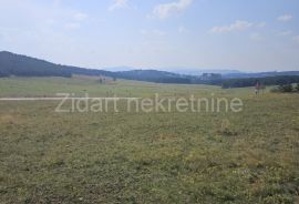 Zlatibor, Gornje Rudine, građevinski plac od 77,92 ara, Čajetina, Terrain