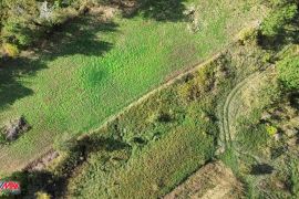 ISTRA, PIĆAN, ZEMLJIŠTE NA OSAMI S DOZVOLOM ZA VILLU, Pićan, Land