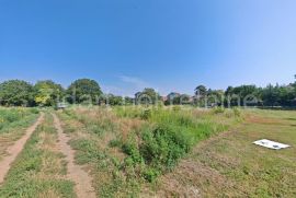 Građevinsko zemljište Batajnica, Zemun, Terrain